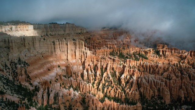 Fog hovers above red rock formations.