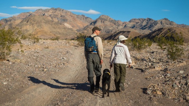 two people walk down a dirt road with a dog on leash