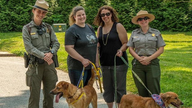 Rangers and visitors alike have fun when dogs follow the B.A.R.K. Ranger policies! NPS/Tim Ervin