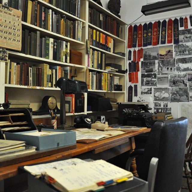 Desk covered in papers and books