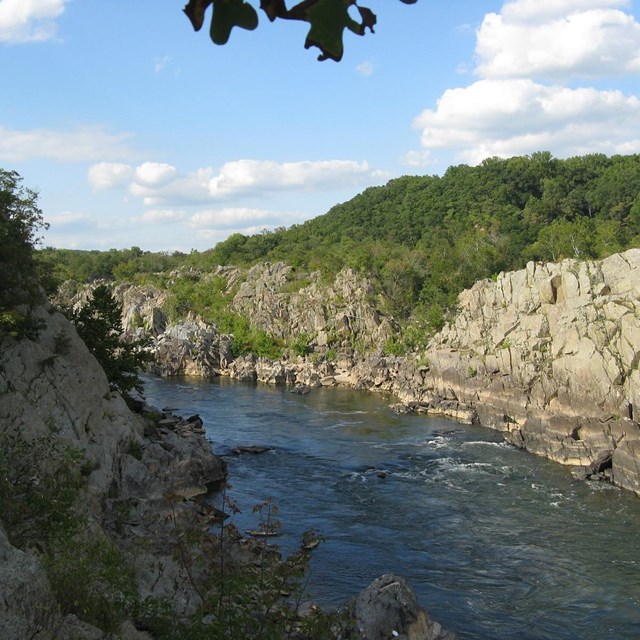 Normal water level, looking upstream from Mather Plaque on the river trail.