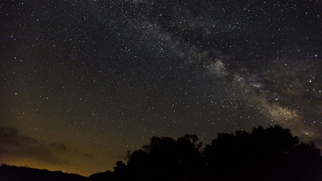 A night-time view over a dark meadow with trees silhouetted at the horizon and stars in the sky. 