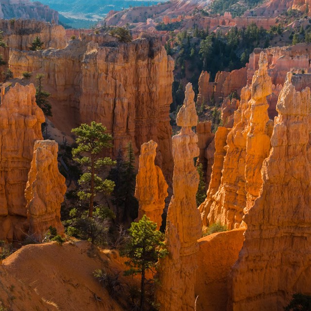 An overhead photo of red rock formations glowing in the sun.