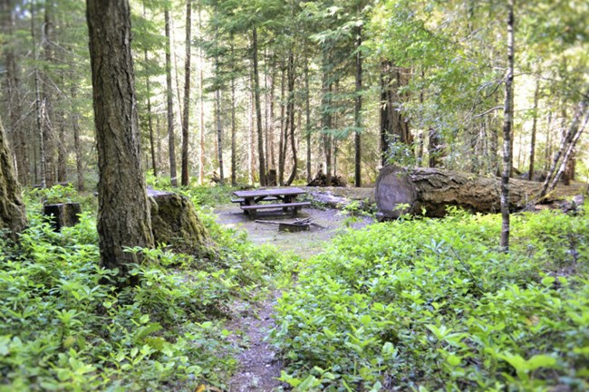 A picnic table and campfire pit of a campsite at Cave Creek Campground.