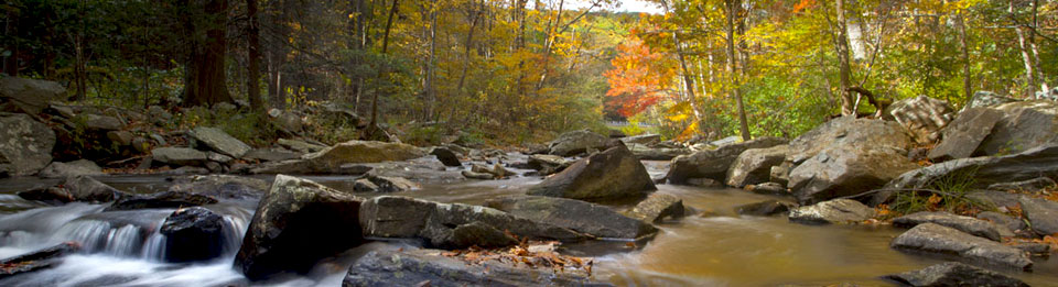 Catoctin Mountain Park