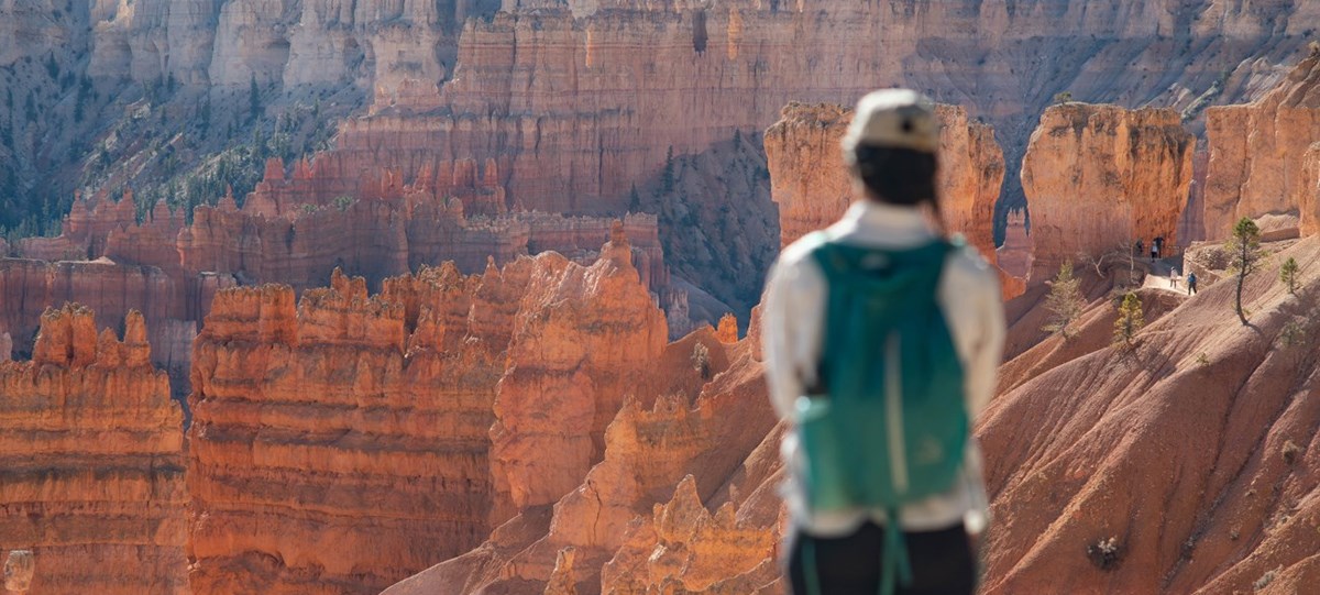 A visitor looks out over a landscape of red rocks