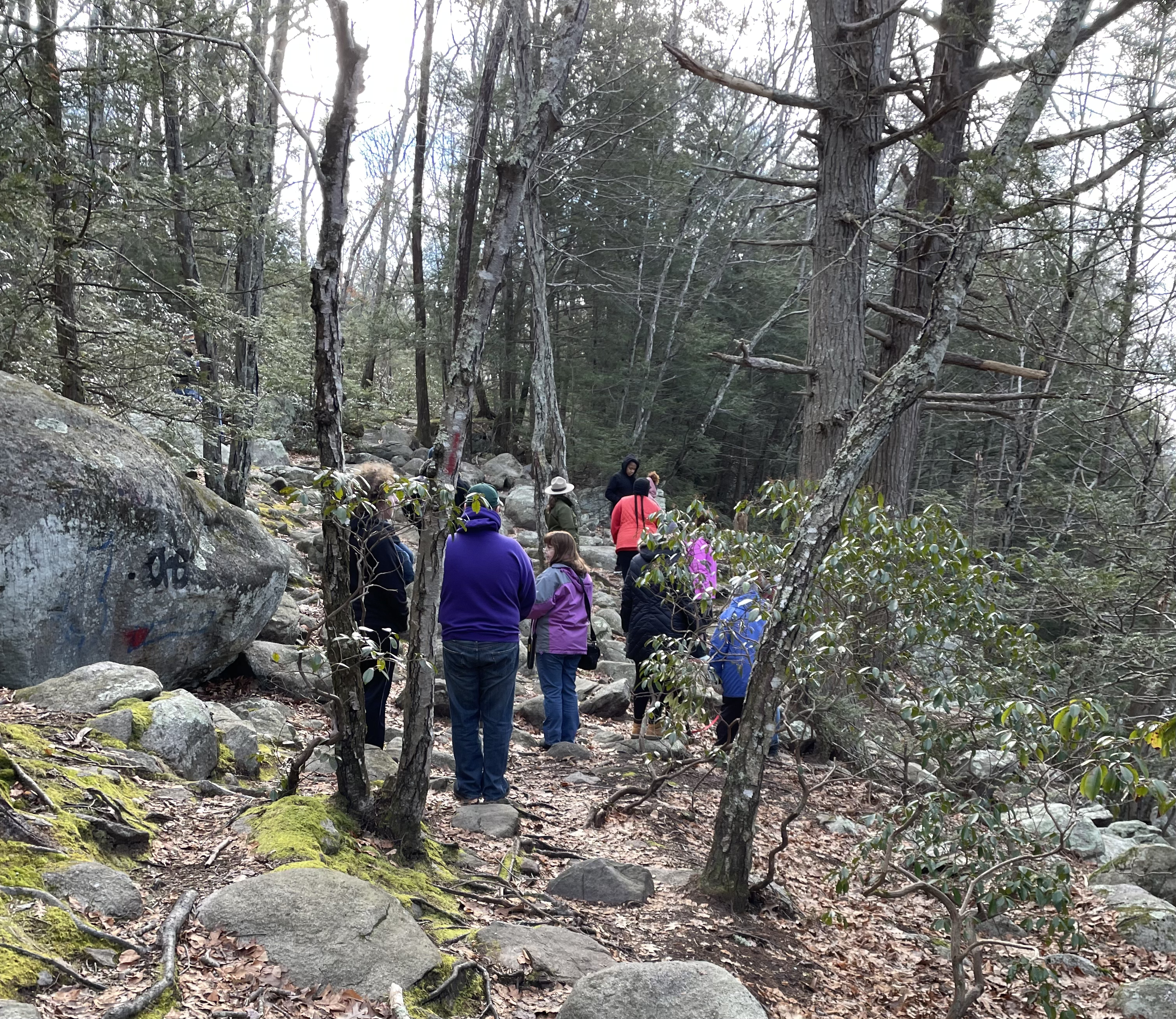 An NPS ranger with a group of visitors on a hike in the woods