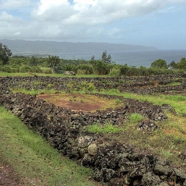 Pu'u o Mahuka Heiau