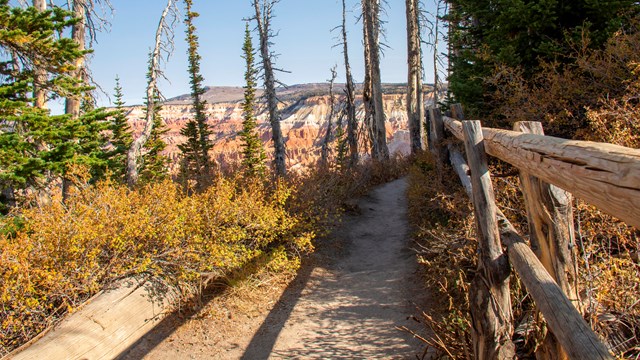 A log fence runs along the right side of a trail extending away from the camera.