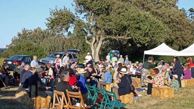 group of people sit in chairs outside with tents and trees in the background