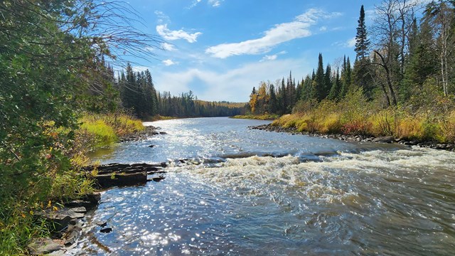 River running through a forest.