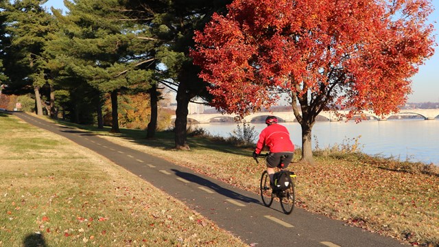 A biker on the Mount Vernon Trail