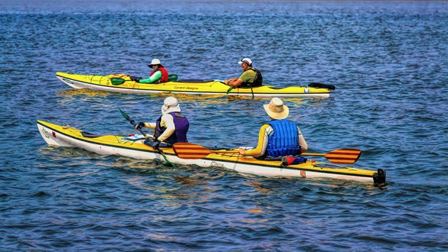 Four people in two yellow tandem kayaks.
