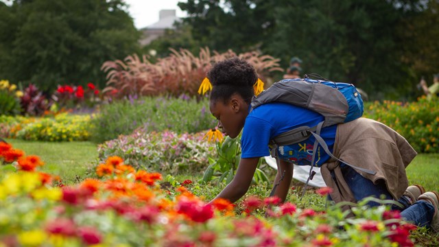 A kneeling girl works in a flower bed.