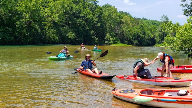 A group of kayakers pull off to the side of a river.