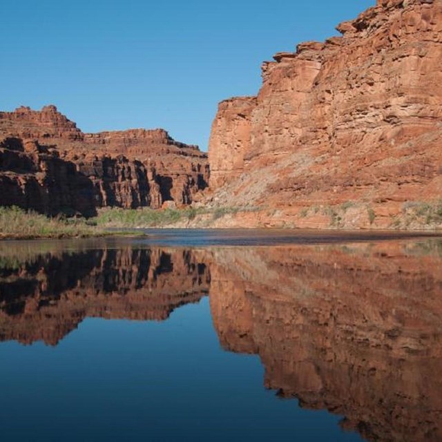 Colorado River Reflection NPS Photo by Neal Herbert