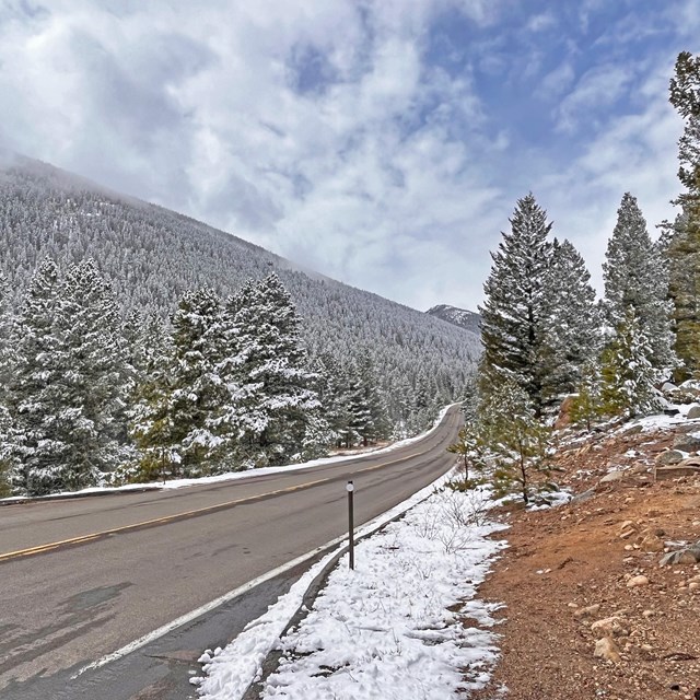 The surface of a park road is clear of snow, snow lines the road and trees are dusted with snow 