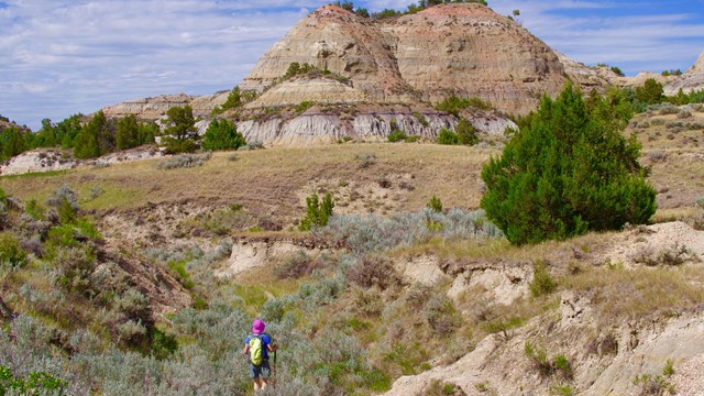 Hiker in the Badlands