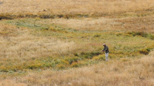 An angler casts a line into a narrow, meandering stream.