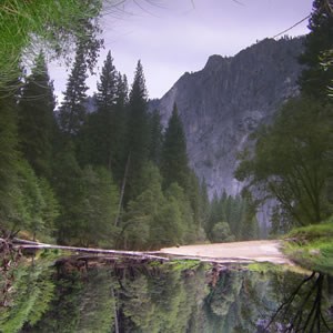 Mountains within Yosemite provide a beautiful reflection on a small lake which is in the foreground.