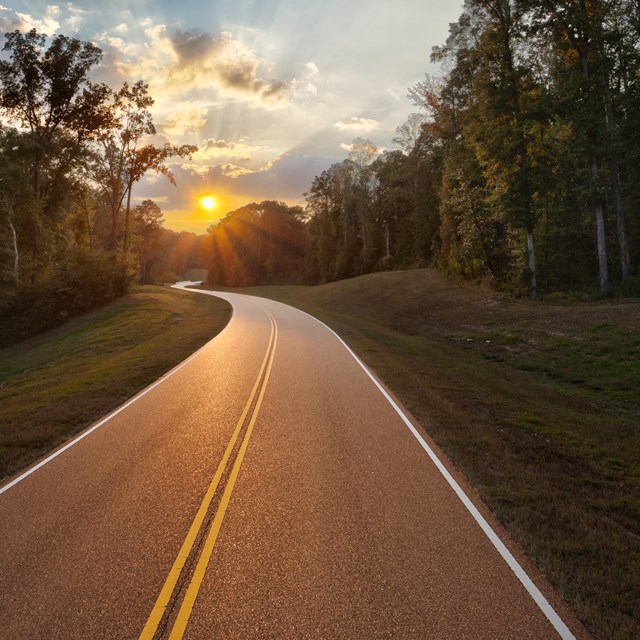 The sun sets over a road encased by trees.