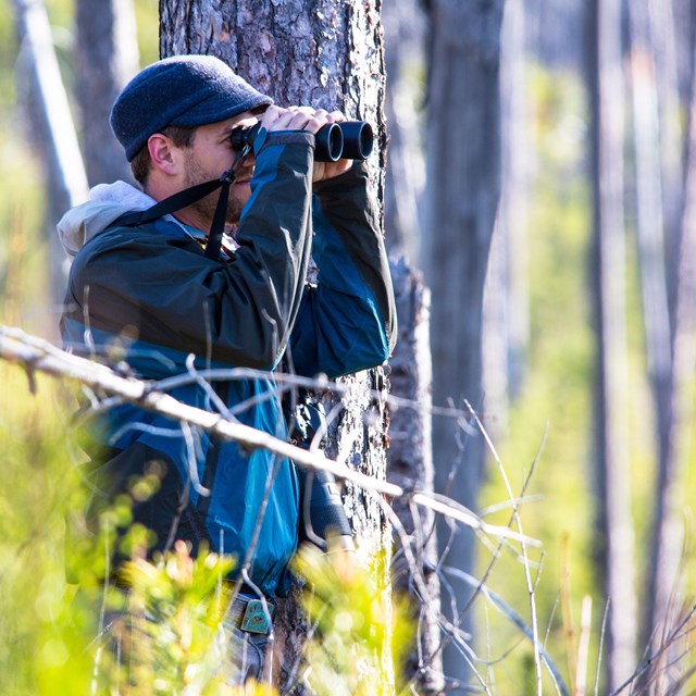 A man looking through binoculars