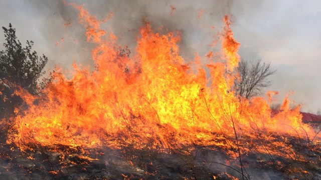 Large flames shoot up from the ground