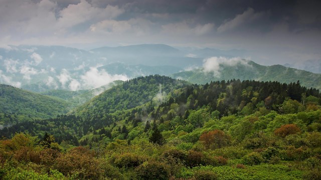 Whispy clouds hug mountains covered with bright green foliage after a spring storm.