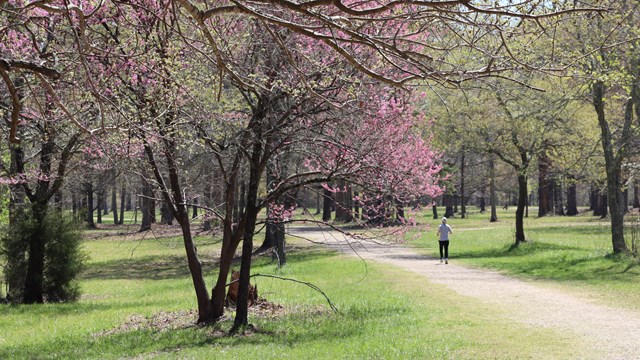 Visitor runs on Green River Road   