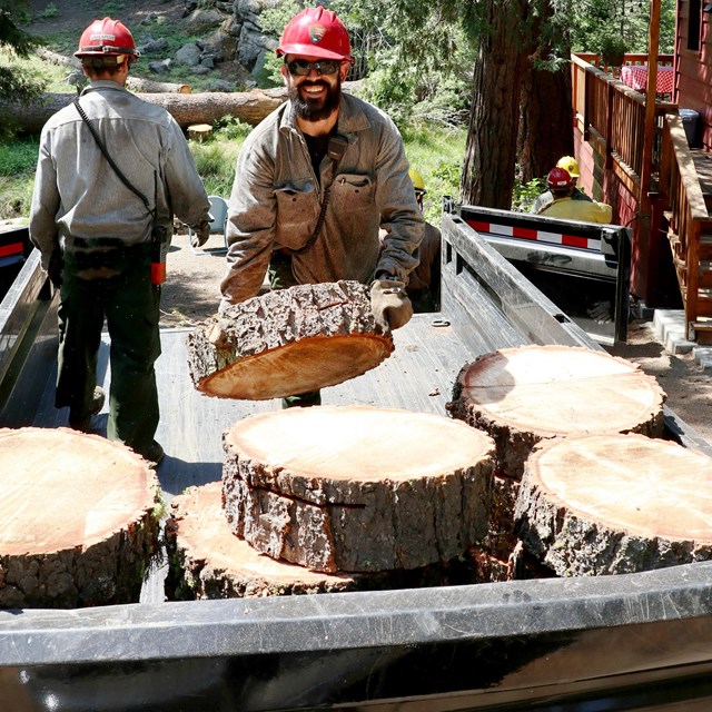 A firefighter removes hazardous fuel from a community. 