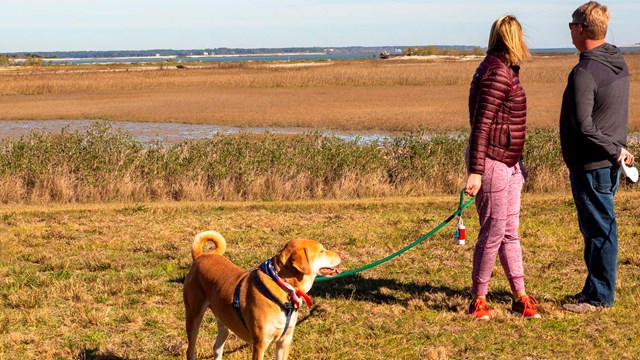 Two visitors enjoy the views of Cockspur Island with their properly leashed dog.