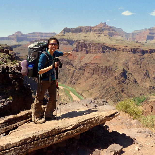 person at grand canyon overlook