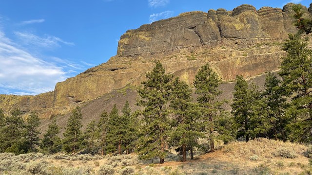 basalt hillside has green trees in front of it. 