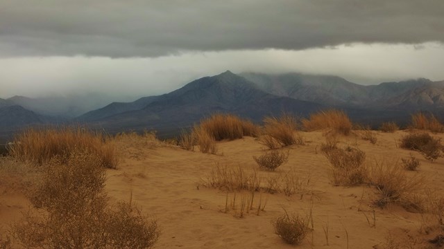 Storm clouds over Kelso Dunes