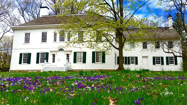 A large white Georgian mansion on a lawn in spring