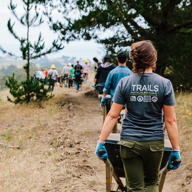 A group of people volunteering, pushing wheelbarrows down a trail