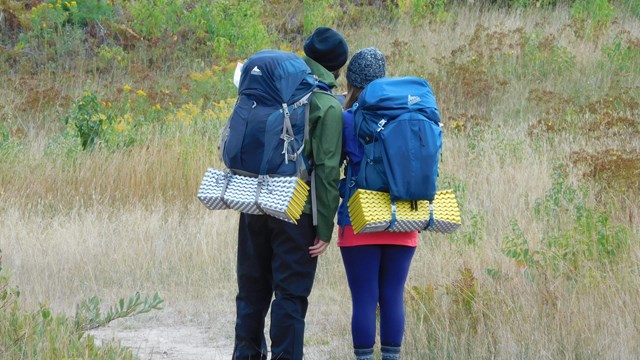 Two backpackers face away from the camera looking towards a trailhead.