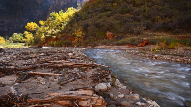 Zion river