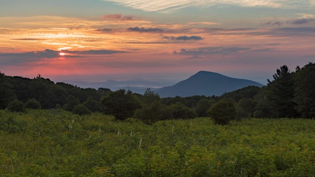 A sunrise behind a mountain in the background of a grassy overlook.