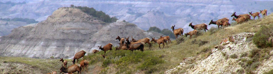 Theodore Roosevelt National Park