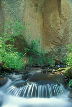 Upper Frijoles Creek