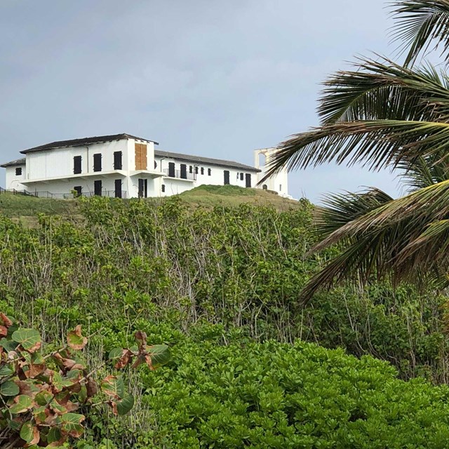 a palm tree on right, up on cliff a white building with tile roof