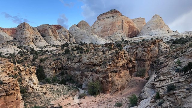 Large golden monoliths with blue sky in the background and rocks, plants, and trail in foreground.