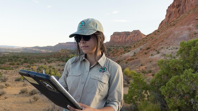 Intern looking at clipboard in desert