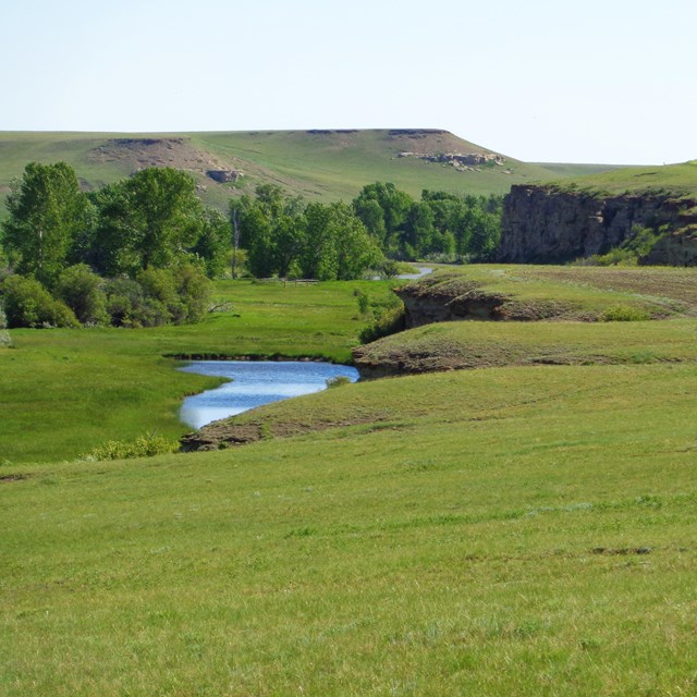 Rocky area with grass