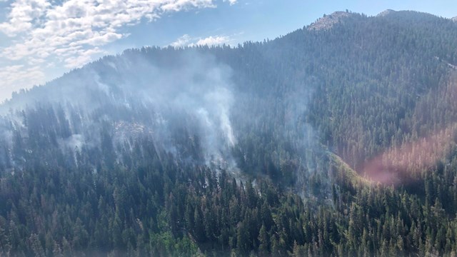 Smoke rises from a densely forested mountainside