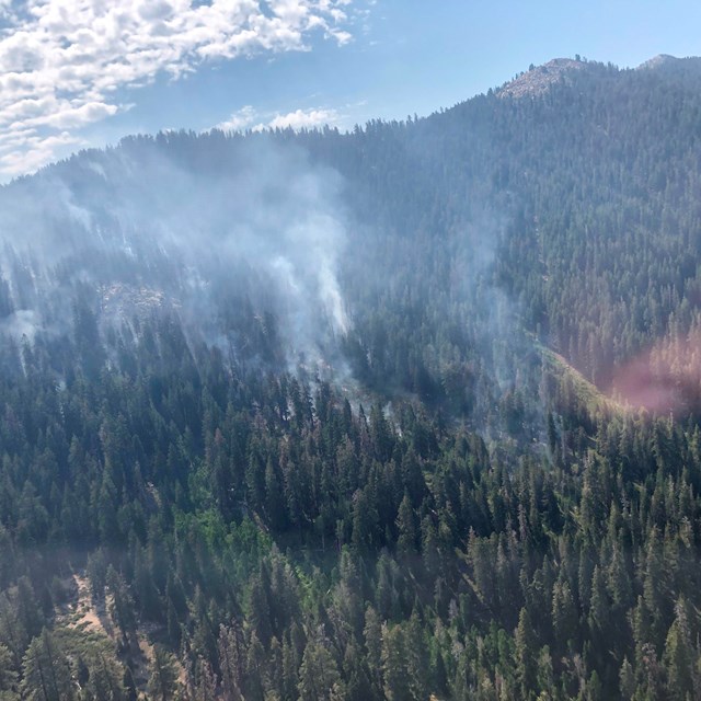 Smoke rises from a densely forested mountainside