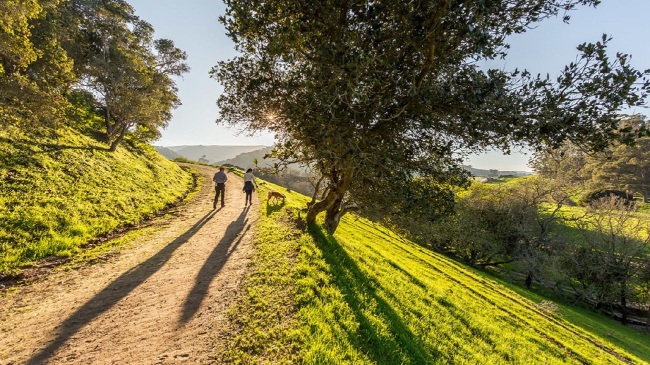 Hiking trail surrounded by grass 