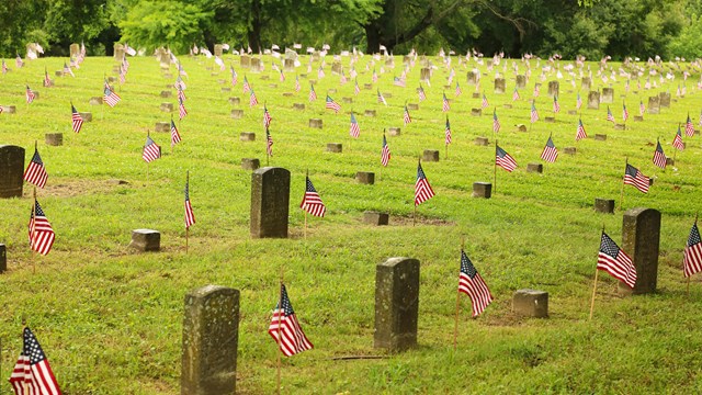 Rows of American flags and tombstones in a grass field