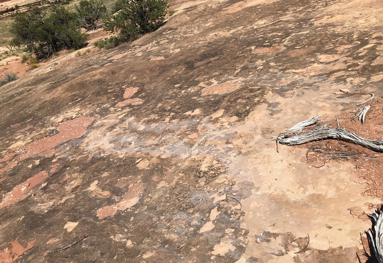 Photo of a rock surface with dark patches and text "Silica glaze".